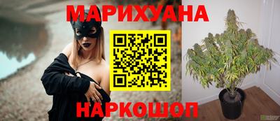 СК Обнинск