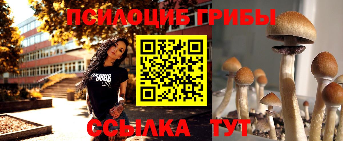 Псилоцибиновые грибы Psilocybine cubensis  Вход с VPN  Батайск 